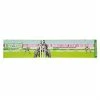 Slazenger Wicky Backstop Garden Cricket Game